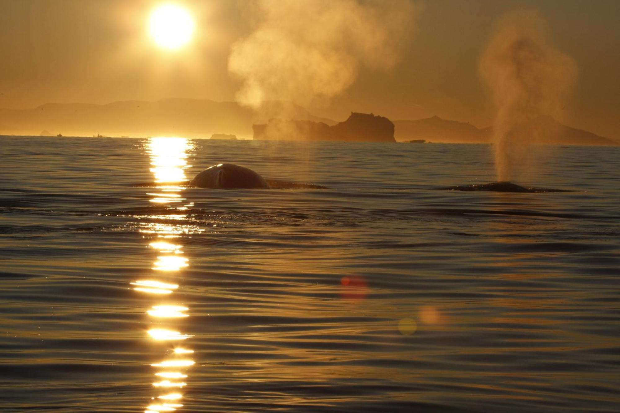 Hotel Icefiord Ilulissat Luaran gambar